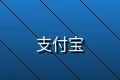 支持支付宝在线支付